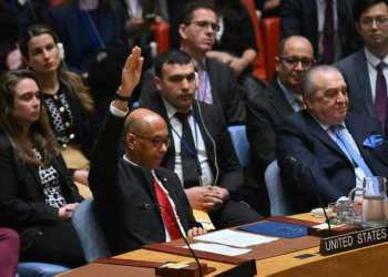 US Deputy Ambassador to the UN Robert Wood votes against a resolution allowing Palestinian UN membership at United Nations headquarters in New York, on April 18, 2024, during a United Nations Security Council meeting . ©AFP