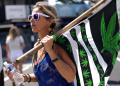 Marijuana has been classified since 1970 in the United States as a so-called 'Schedule I' drug along with heroin, ecstasy and LSD, meaning it is deemed to have no accepted medical use and a high potential for abuse / ©AFP